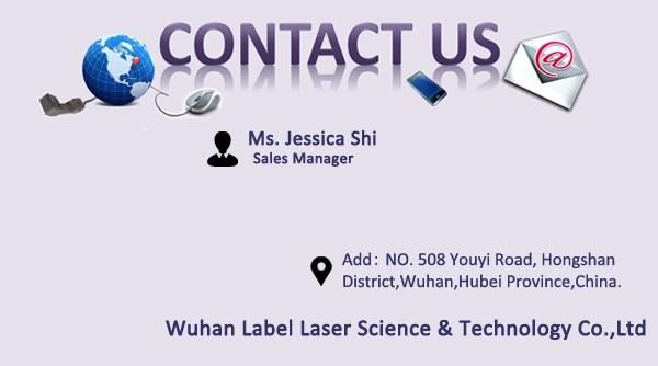 20W 30W 50W 80W Portable Fiber Laser Marking Machine Handheld