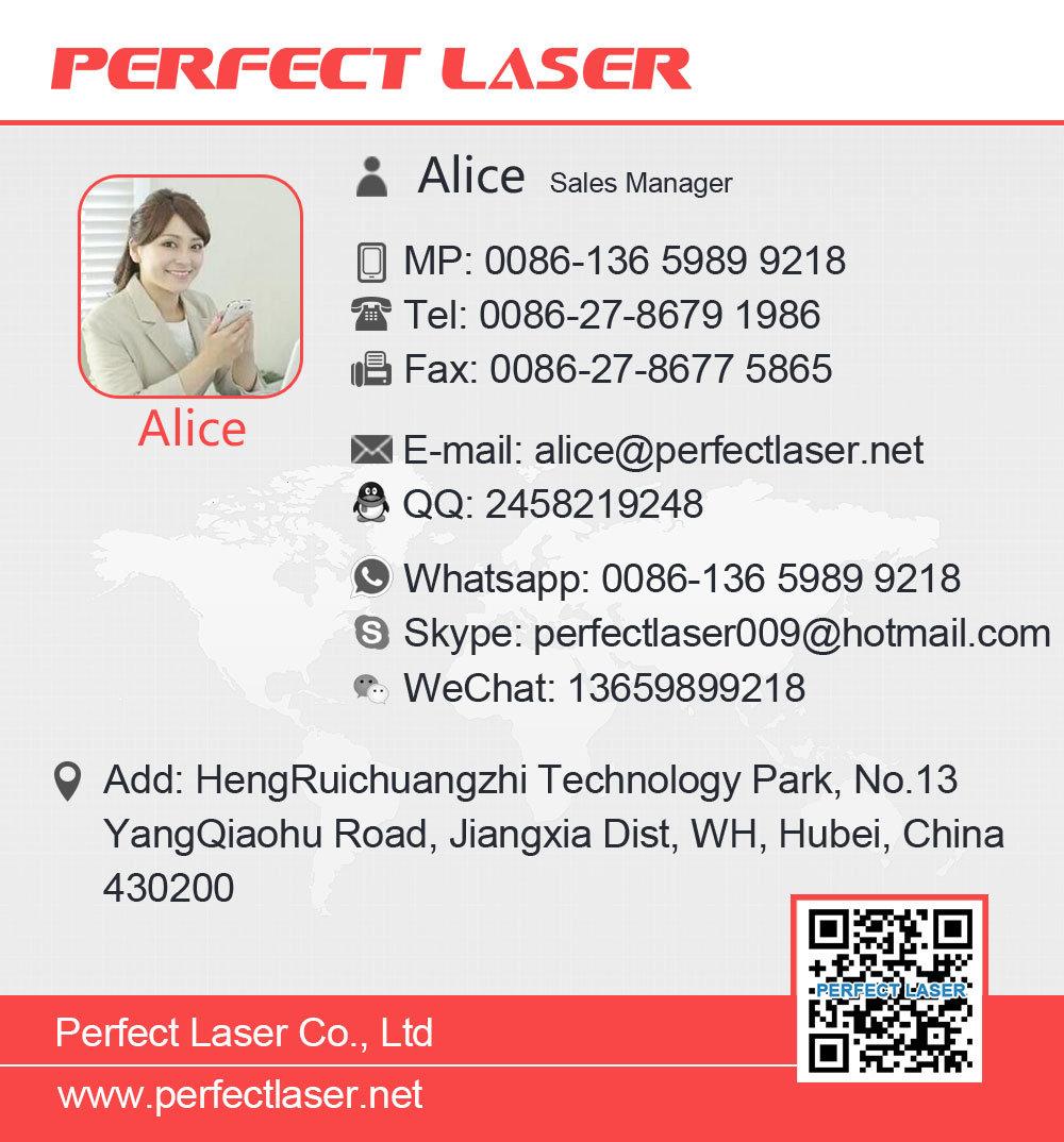 Lifting Type Flying Laser Marking Machine for Bottles or Production Line