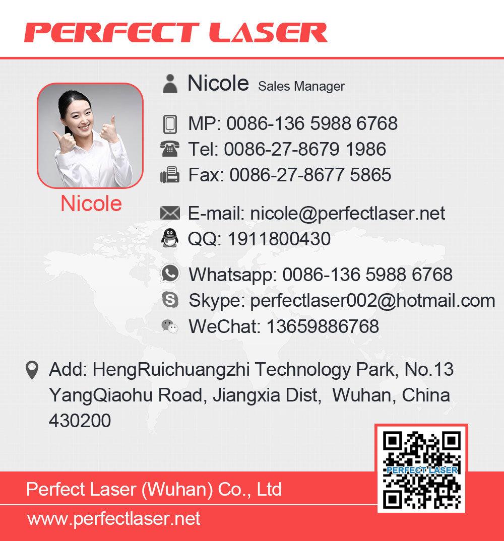 Carbon Steel Fiber Laser Cutting Machine for Kitchen Ware