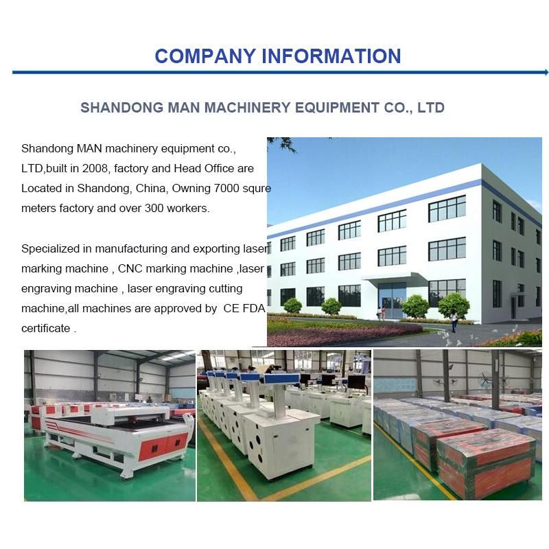 Mini 30W Flying Fiber Laser Marking Machine with Conveyor Belt