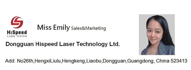 Hispeedlaser Fiber Laser Marker Laser Marking Engraving Machine for Metal