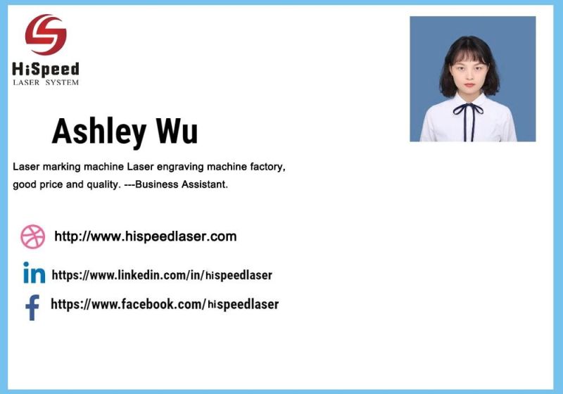 Hispeedlaser CO2 Laser Coding Machine / Expiry Date Marking Machine