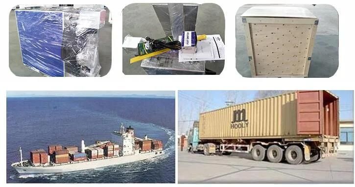 Portable CO2 Laser Marking Machine Price with Ce FDA