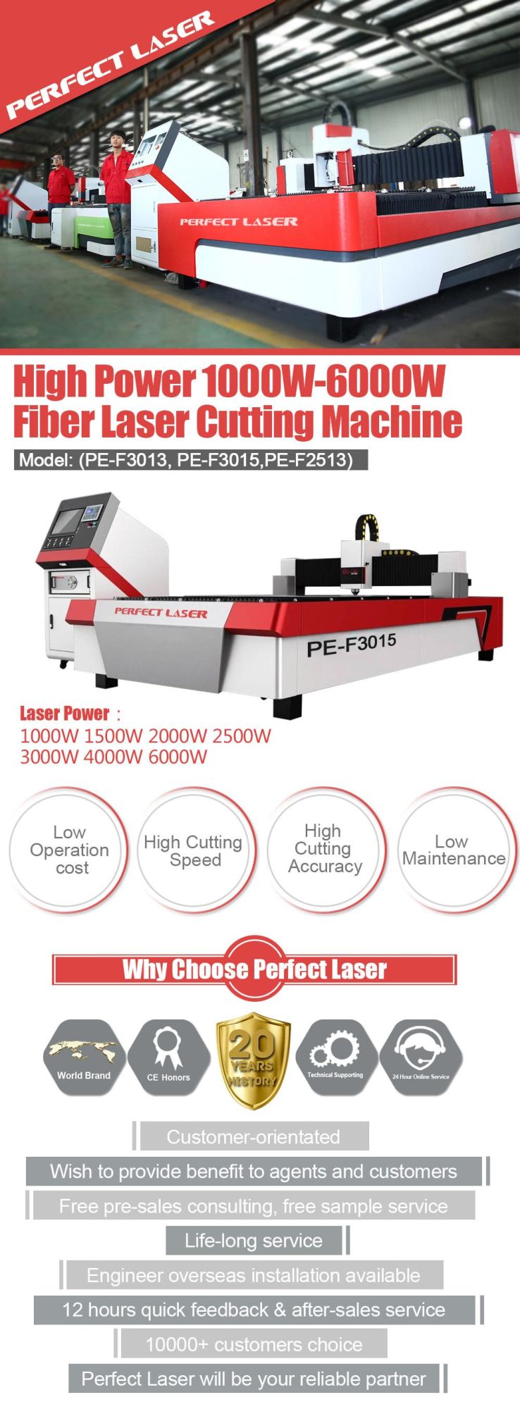 Factory-Direct Price Ipg Laser Metal Machinery Raycus Fiber Laser Cutting Machine