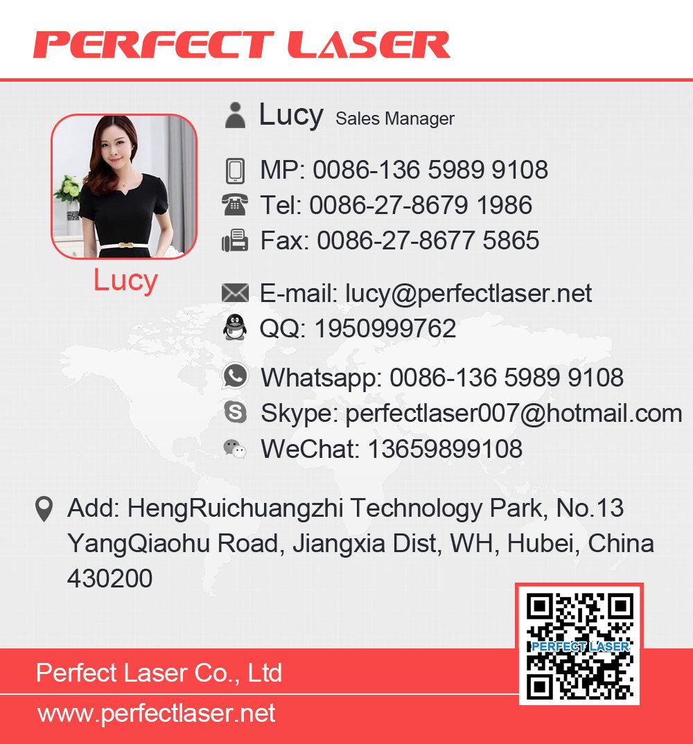 Perfect Laser 13-20mm Thickness Plywood Die Board Laser Cutting Machine Price