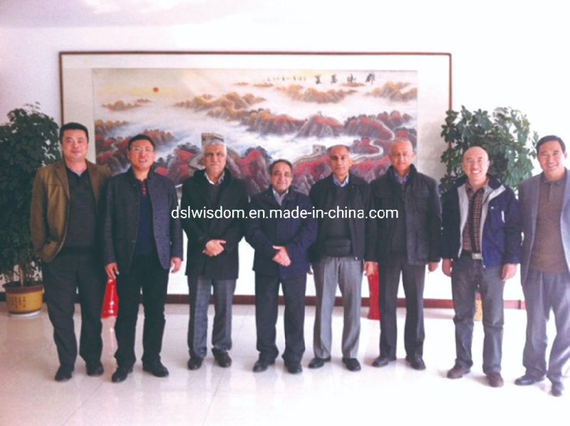 China Good Supplier CNC Fiber Laser Cutting Machine with Metal Sheet Wt-4020d 2000W
