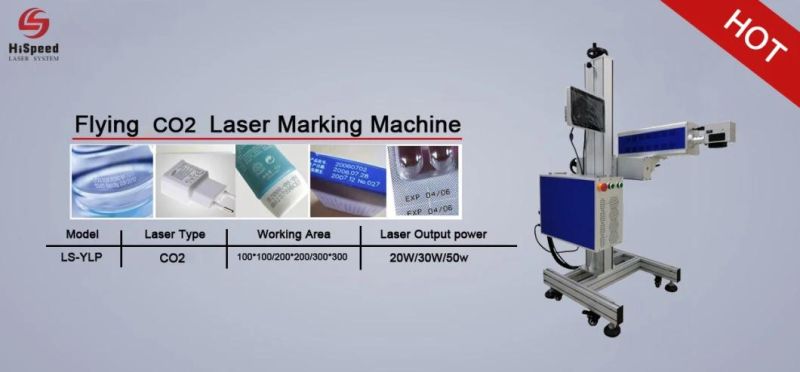 Flying CO2 Laser Marking Machine 30W for Automatic Production Marking