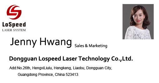 High Speed Expiration Date Production Line Flying UV Laser Marker