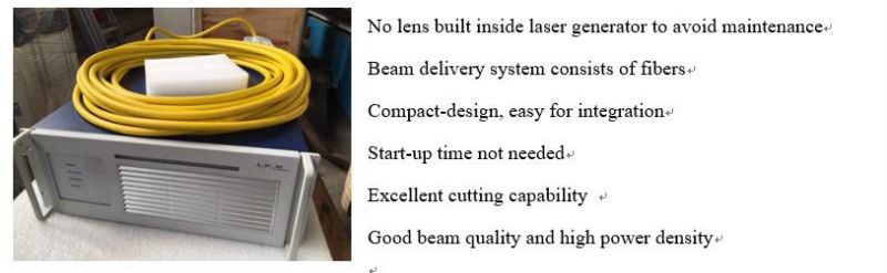 Ipg & Spi Laser Cutting Machine for Metal Sheet