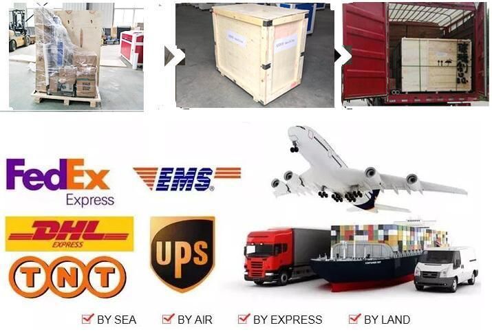 Online CO2 Flying Laser Marking Machine for Jeans Wood Bottles