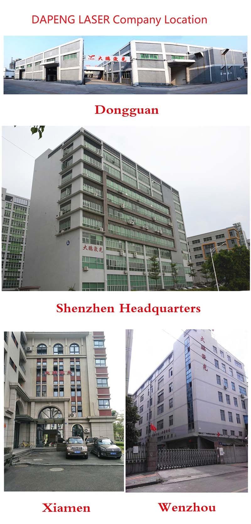 Dapeng Laser Battery to Nickel Continuous Laser Welding Machine, Large Polymer Power Battery Pack Laser Spot Welding Manufacturer
