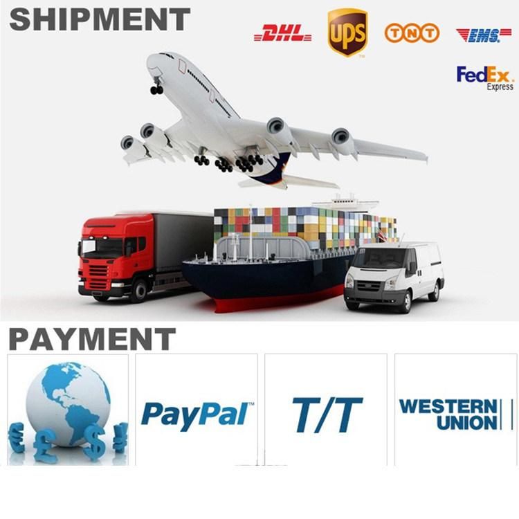 Hot Selling C6 Puls Dual Color H3 Headlight Bulb LED Car Headlight 5000lm 3000K 6000K