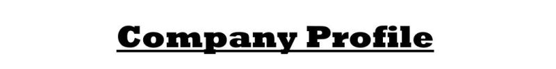 Factory Super Bright H4 High Power Auto Car Accessories Hot Selling LED Headlight Bulbs Light H4 Car LED Headlight