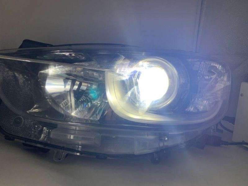 2 Years Warranty Fanless Phi-Zes H8 H11 Multi-Colour Car LED Headlight
