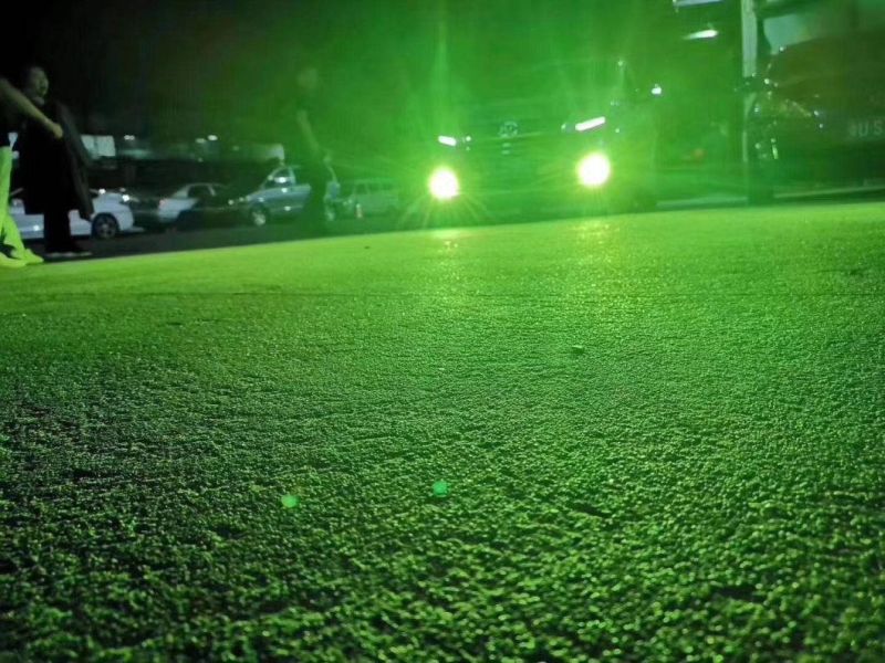 China Factory Direct K5 Green Lemon H1 H7 H11 9005 9006 9007 H13 LED Car Headlight Fog Lamp of Bulb