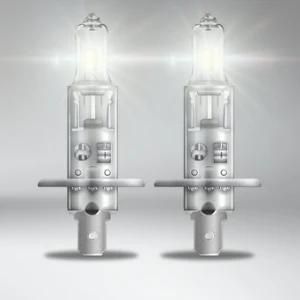 H1 24V 70W P14.5s Super Bright Premium Bulbs Halogen Lights Headlight Auto Lamps for Car Bus and Truck