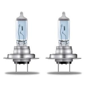 H7 12V 55W Px26D Super White Auto Parts Halogen Bulbs Fog Headlight Turn Auto Lamps Signal Lights for Car Bus and Truck