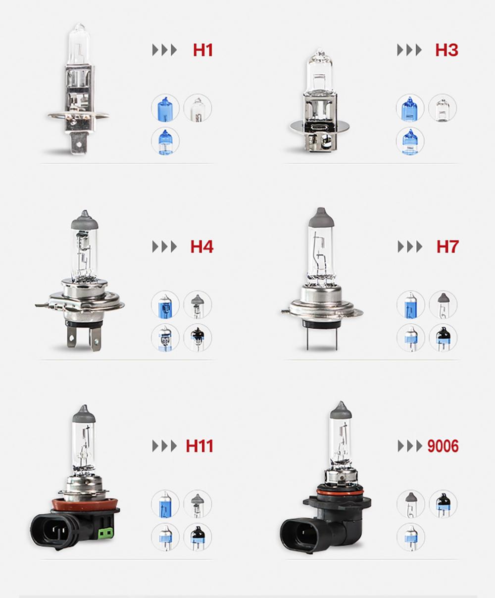 Car Halogen Bulbs 9005xs 12V 65W Quartz Glass Auto Headlight