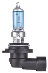 9006 Hb4 12V 80W P22D Wholesale High Quality Auto Light International Standard Halogen Lamps Auto Light Bulb Headlight for Car Bus and Truck