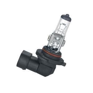 H12 12V 53W Pz26D International Standard Halogen Auto Lamps Bulbs Lights Headlight for Car Bus and Truck.