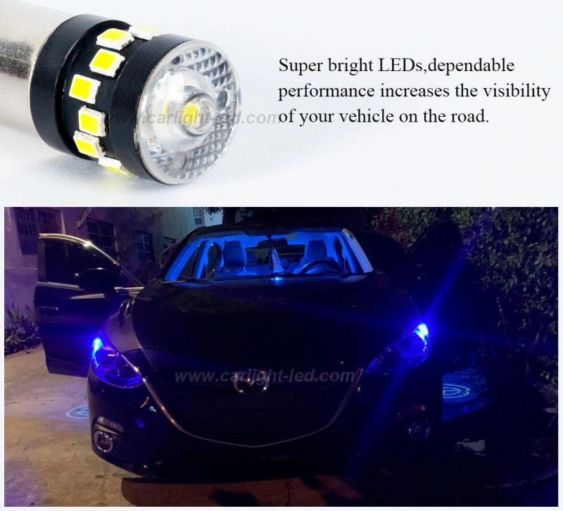 Ba9s 1895 1445 17053 64111 Auto LED Bulbs Side Door Courtesy Lights Cargo Lights