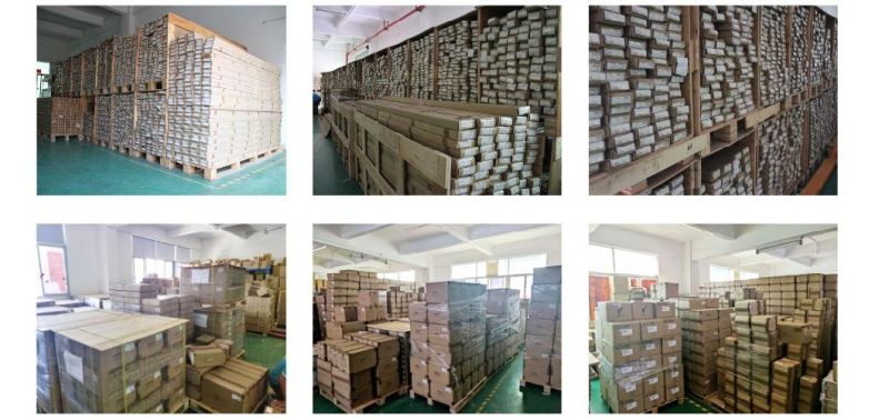 Wholesale Price Double CCT Ribbon LED Flexible Strip Light
