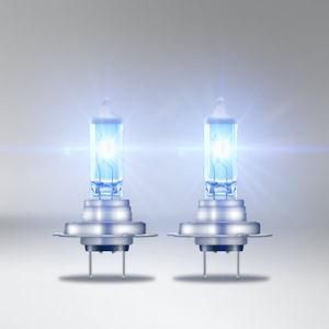 H7 12V 55W Px26D Auto Parts Headlight Super White Halogen Lights Fog Auto Bulbs Turn Signal Lamps for Car Bus and Truck