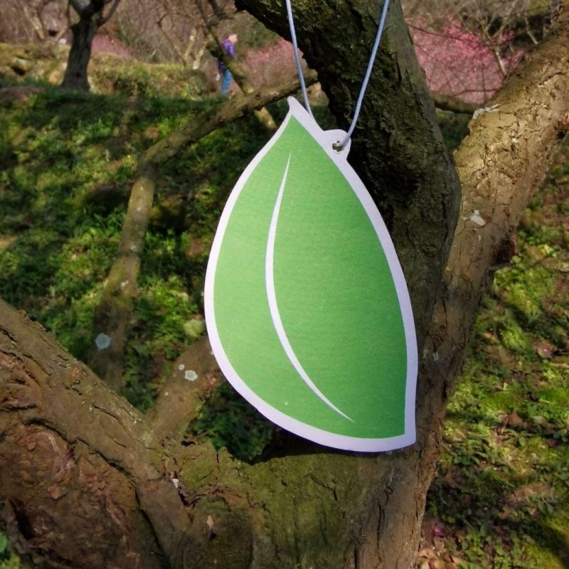 Hanging Car Air Freshener Custom Logo Long Lasting Hanging Perfume fragrance