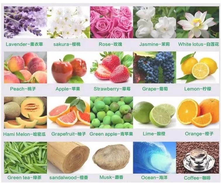 Promotional Gifts Paper Air Freshener for Car Flavor Perfume