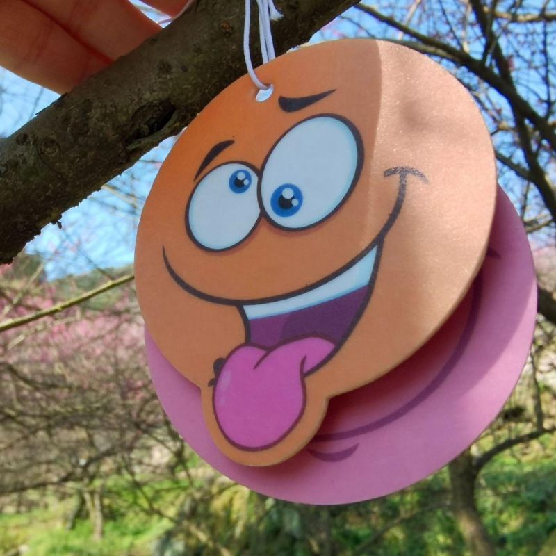 Custom Hanging Air Freshener for Car All Scent Paper Car Air Freshener