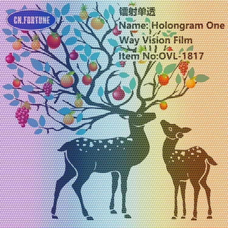 Display Window Stickers Hologram One Way Vision Film