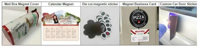 Green Colorful Pawprint Car Magnet Paw Print Magnet Sticker
