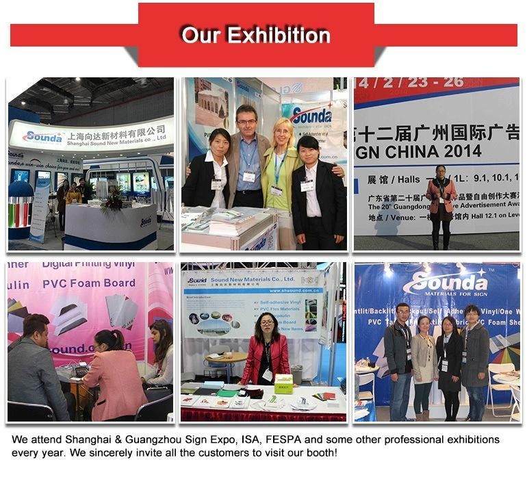 Economic Standard Car Wrap Vinyl for Car Decoration