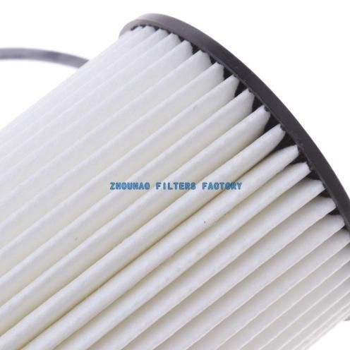 for BMW X5/X6/Gt/750I/550/E71 11427583220, Hu8007z, CH11007 Filter
