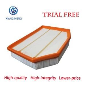 Auto Filter Manufacturers Supply High Quality Air Filter Element 13717542545 for BMW