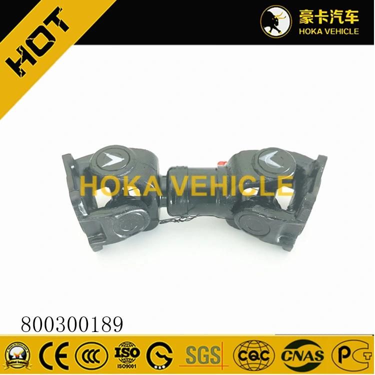 Original 25t Crane Spare Parts Pto 800300189 for Construction Machinery