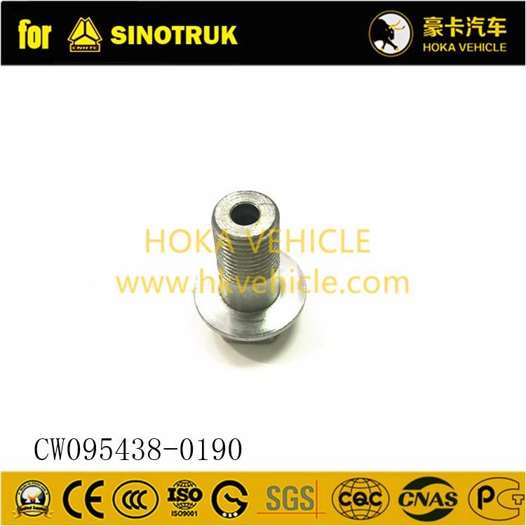 Original Sinotruk HOWO Truck Spare Parts Hollow Screw Cw095438-0190 for All Sinotruk Heavy Truck