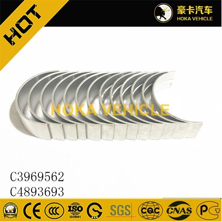 Original Engine Spare Parts Main Shaft Bearing C3969562 for Heavy Duty Truck