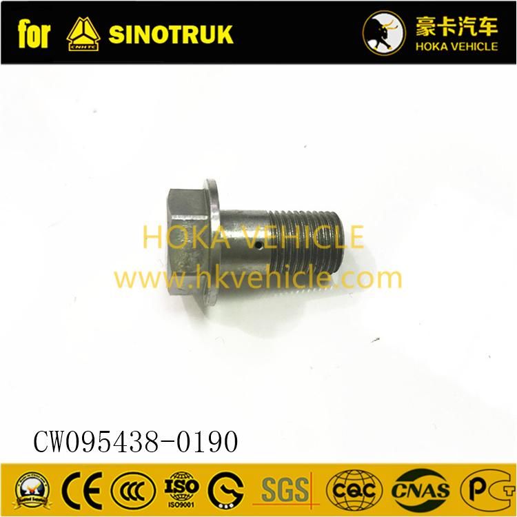 Original Sinotruk HOWO Truck Spare Parts Hollow Screw Cw095438-0190 for All Sinotruk Heavy Truck