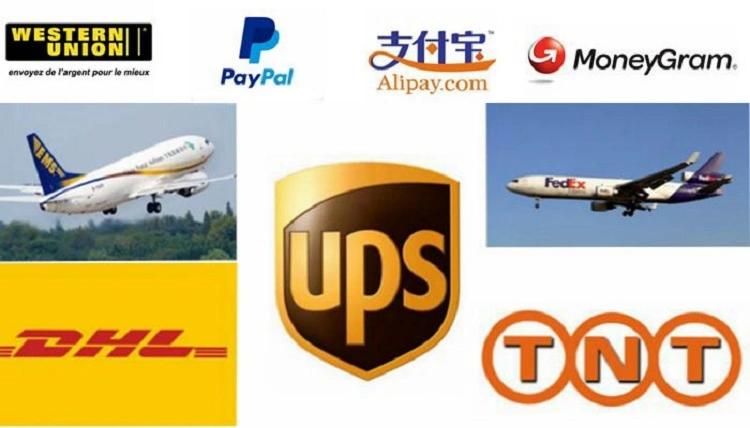 Auto Engine Parts Air/Oil/Cabin/Fuel Filters for Opel