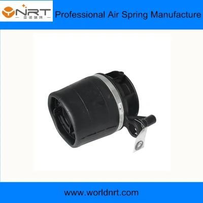 Lincoln Navigator 5.4L Rear Left 4L1z5a891AA 51700882 6L1z5a891AA Air Bag Air Suspension Shock Absorber Spring