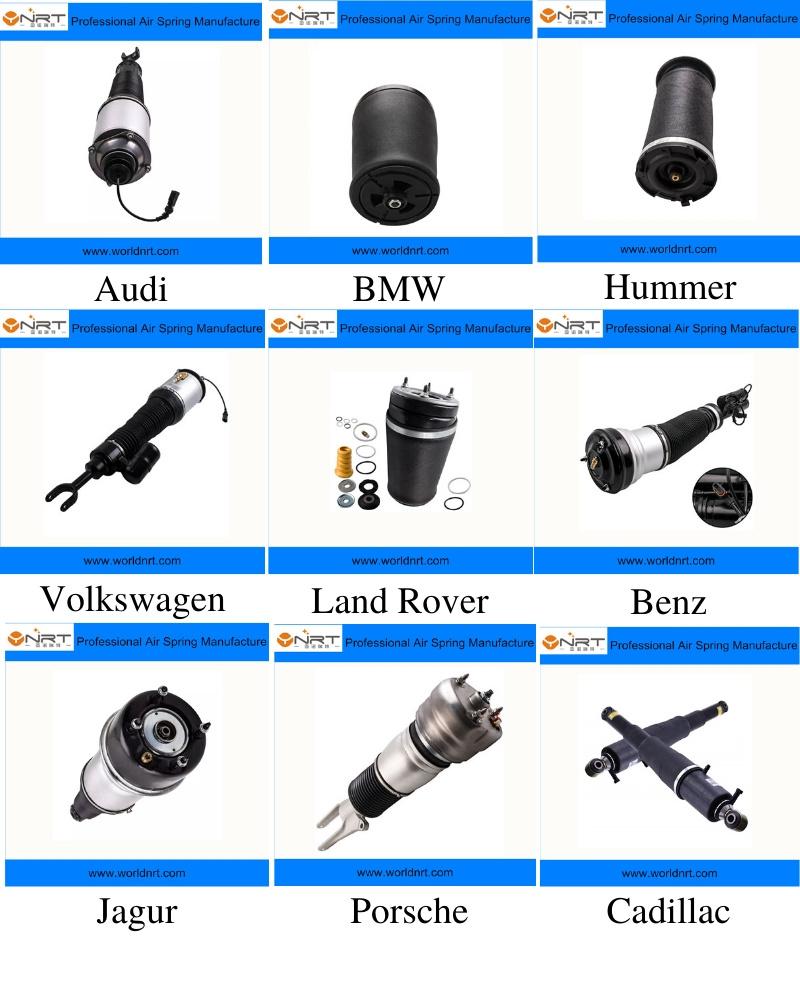 Auto Parts Car Accessories Front Left OEM 2203202138 2203201338 Air Suspension Strut Shock Absorber for Mercedes W220