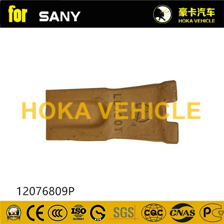 Genuine Bucket Tooth 12076809p for Excavator