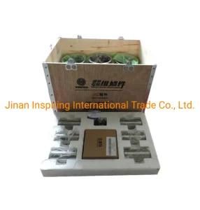 Weichai Wd615 Wp10 Cylinder Liner and Piston Kit 612600900079A
