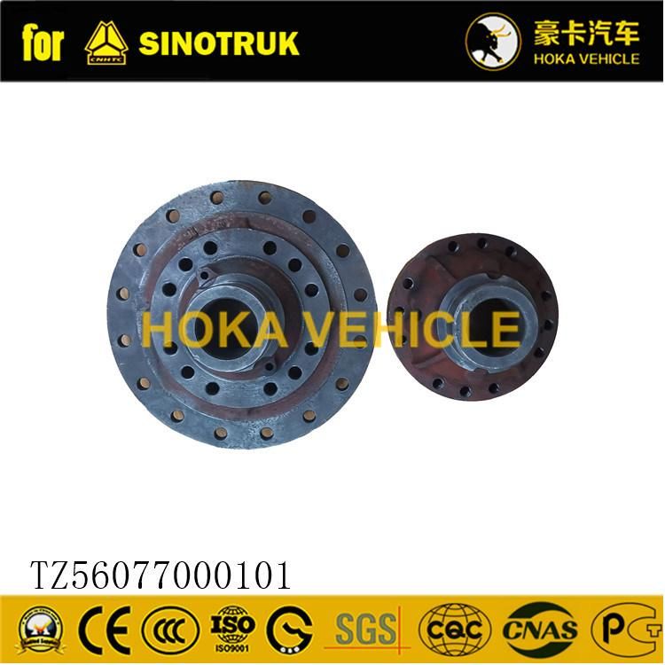 Original Sinotruk HOWO Truck Differential Assembly Tz56077000101 for All Sinotruk Heavy Truck