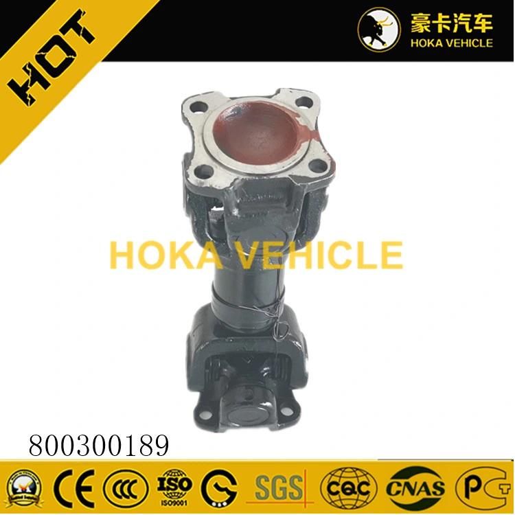 Original 25t Crane Spare Parts Pto 800300189 for Construction Machinery
