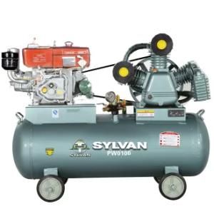 Piston Air Compressor/Car Air Compressor Pw0106