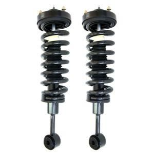 OEM 171361 Automotive Parts Struts Assembly Shock Absorber for 04-08 Ford F-150