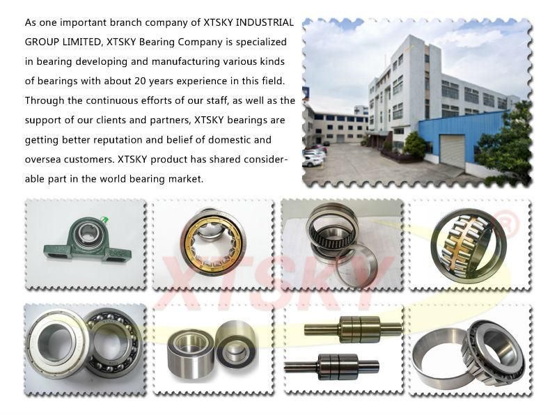 Auto Spare Parts Bearing 1-31310-012-0 81tkl4801 Clutch Release Bearing
