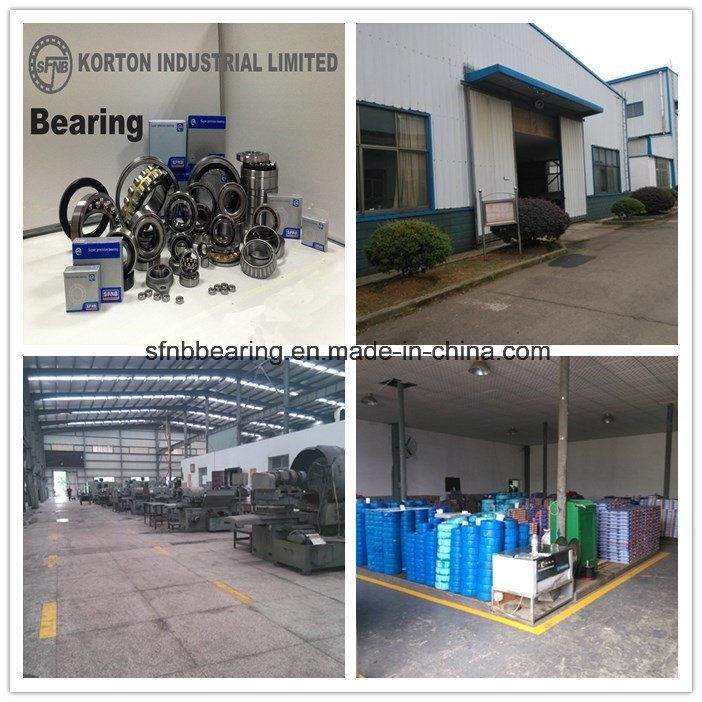 Koyo Original Full Complement Cylindrical Roller Bearings Sc050617ae C3 for Auto Bearing